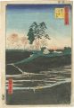 <strong>Hiroshige I</strong><br>100 Famous Views of Edo / Gote......