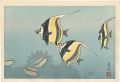 <strong>Yoshida Toshi</strong><br>Hawaiian Fishes B