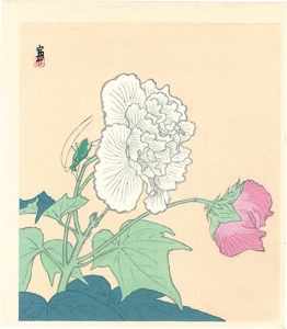 徳力富吉郎｢キリギリスと芙蓉（仮題）｣