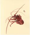 <strong>Tokuriki Tomikichiro</strong><br>Crawfish (tentative title)