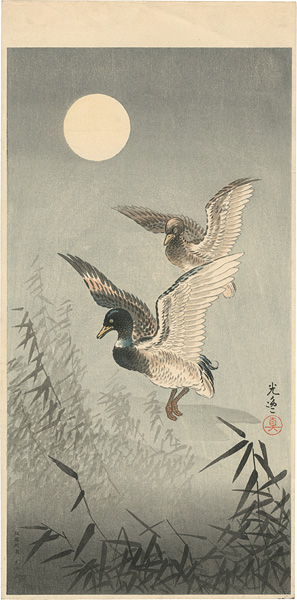 Tsuchiya Koitsu “Wild Duck”／