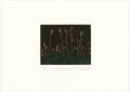 <strong>Oda Shigeru</strong><br>Miscanthus Sinensis