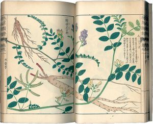 ｢本草図譜　巻之一 山草類一｣岩崎灌園