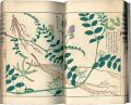 <strong>Illustrated Herbal, Manual of ......</strong><br>岩崎灌園