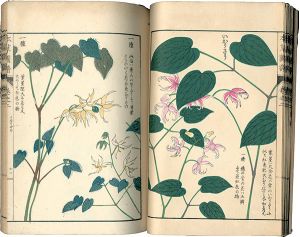 ｢本草図譜　巻之二 山草類二｣岩崎灌園
