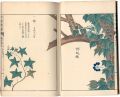 <strong>Illustrated Herbal, Manual of ......</strong><br>岩崎灌園