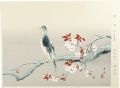 <strong>Kodama Kibou</strong><br>Sunny Spring