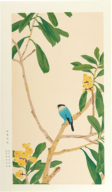 Imamura Shiko “Loquat and java sparrow”／