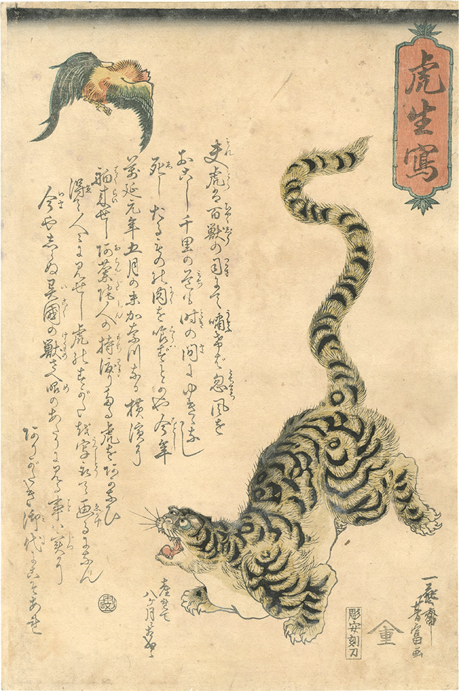 Yoshitomi “The Picture of a Tiger”／