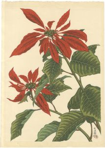 <strong>Funasaki Kojiro</strong><br>Poinsettia (tentative title)