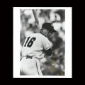<strong>Kawakami Tetsuharu</strong><br>Photo