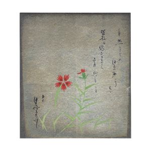 ワード検索：市川猿之助