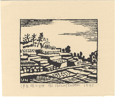 Hiratsuka Unichi “Izu terraced fields”／