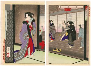 Yoshitoshi/New Selection of Eastern Brocade Prints / The Story of Hashimotoya Shiraito[新撰東錦絵　橋本屋白糸之話]