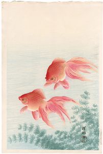 ワード検索：古邨