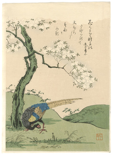Komatsuya Hyakki “Selected Masterpieces of Ukiyo-e Flowers & Birds / Cherry Blossoms and Pheasant【Reproduction】”／