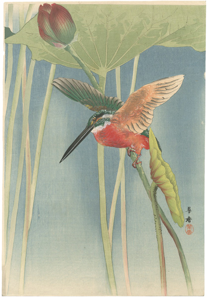 Morita Kako “Kingfisher”／