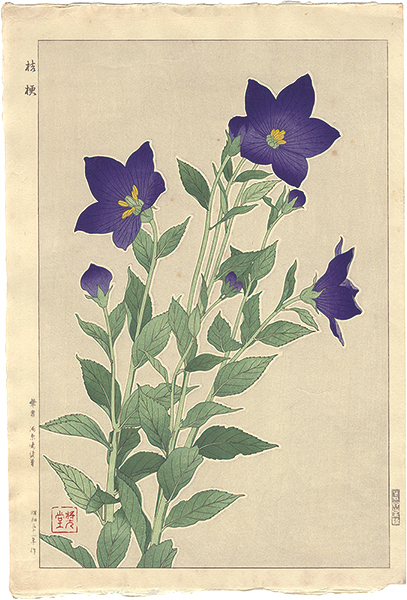 Kawarazaki Shodo “Balloonflower”／