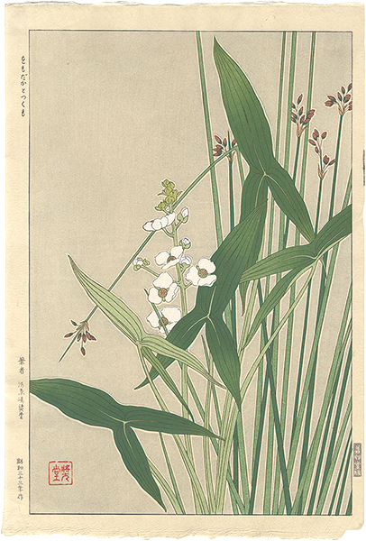 Kawarazaki Shodo “Sagittaria trifolia and Schoenoplectus tabernaemontani”／