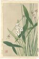 <strong>Kawarazaki Shodo</strong><br>Sagittaria trifolia and Schoen......