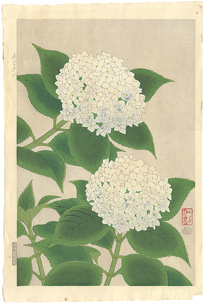 Ito Nisaburo “Hydrangea”／