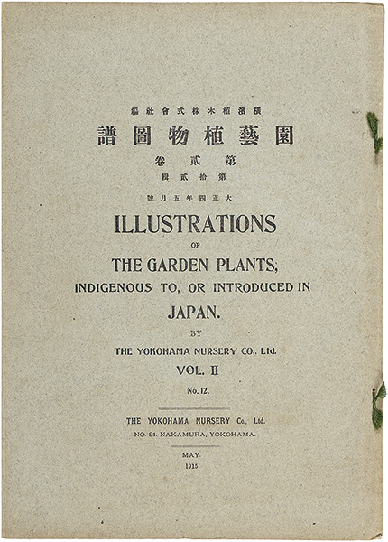 “Illustrations of The Garden Plants, Indigenous to, or Introduced in Japan, Vol. II. No.Xii / Iris ” ／