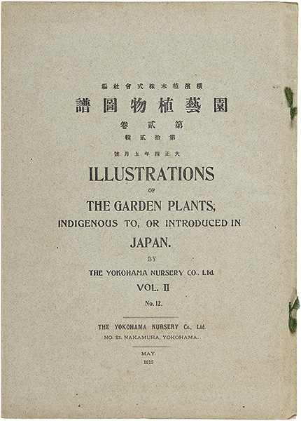 ｢園芸植物図譜　第二巻 第十二輯　アイリス｣横浜植木株式会社 編／