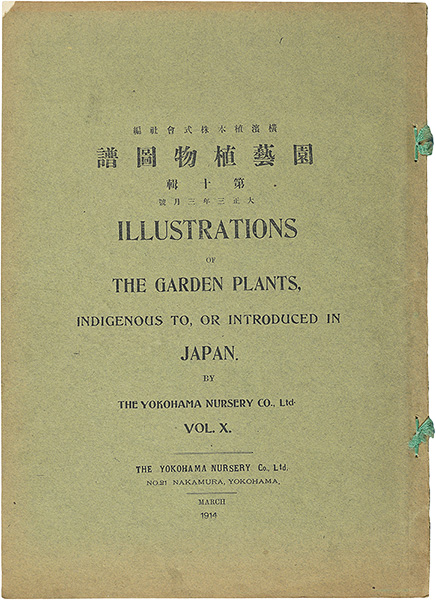“Illustrations of The Garden Plants, Indigenous to, or Introduced in Japan, Vol. X. / Narcissus ” ／