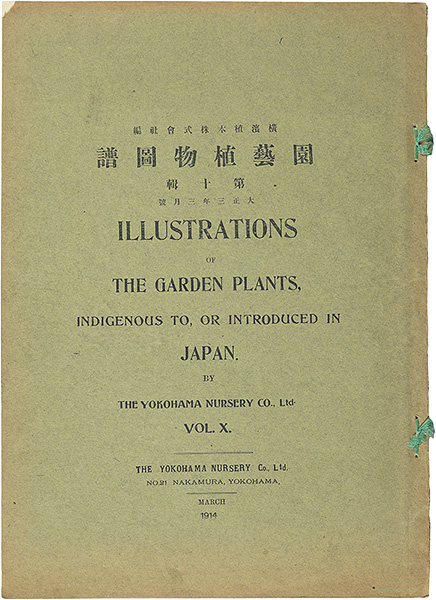 ｢園芸植物図譜　第十輯　西洋水仙｣横浜植木株式会社 編／