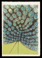 <strong>Izumi Shigeru</strong><br>Peacock