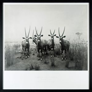 杉本博司｢Gemsbok, 1980｣