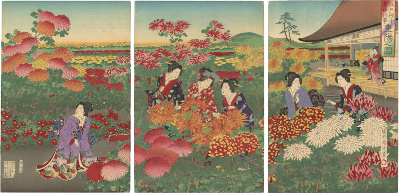 Chikanobu “Events in Edo Throughout the Year on Gold-speckled Paper / Scenes from a Chrysanthemum Festival”／