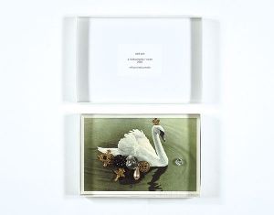 勝本みつる｢Odd box／a field a home／swan｣