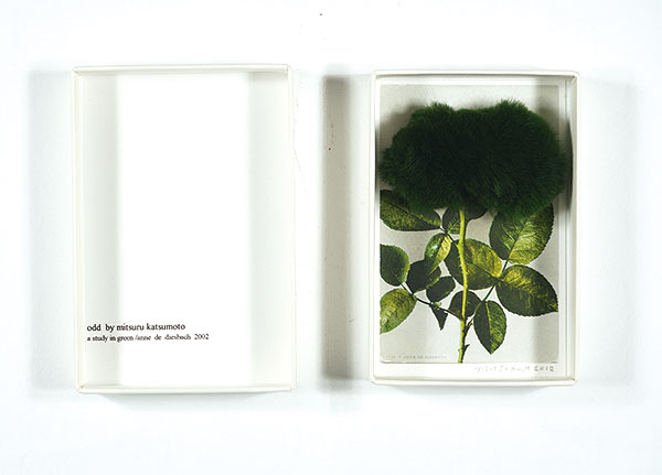 勝本みつる｢Odd／a study in green／anne de diesbach 2002｣ | 山田 
