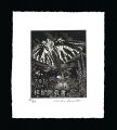 <strong>Kurita Masahiro</strong><br>Exlibris