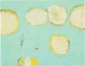 <strong>Ito Kana</strong><br>Cloud dumplings