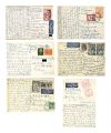 <strong>Sunami Shosei</strong><br>Autograph postcard