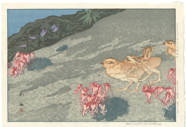 Yoshida Hiroshi “Twelve Scenes in the Japan Alps / Snow Grouse and Dicentra Flowers”／