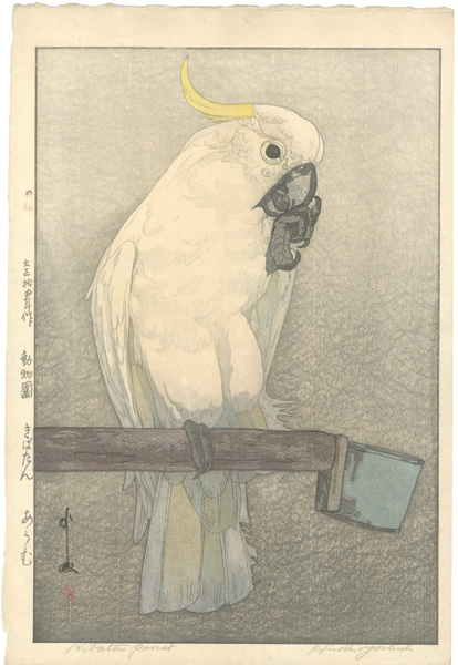 Yoshida Hiroshi “At the Zoological Garden / Sulphur-crested Cockatoo”／