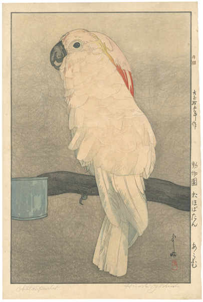 Yoshida Hiroshi “At the Zoological Garden / Salmon-crested Cockatoo”／