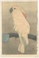 <strong>Yoshida Hiroshi</strong><br>At the Zoological Garden / Sal......