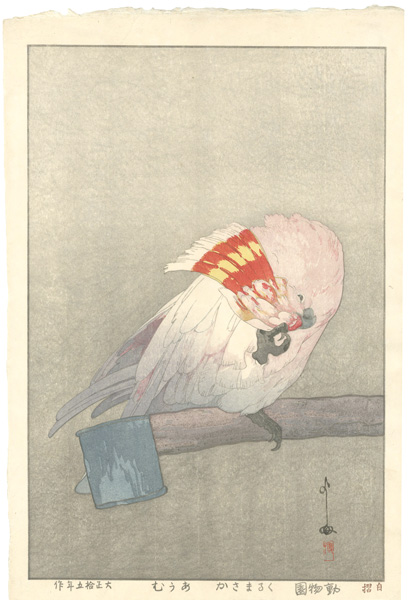 Yoshida Hiroshi “At the Zoological Garden / Major Mitchell's Cockatoo”／