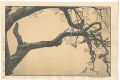 <strong>Yoshida Toshi</strong><br>Plum Tree and Blue Magpie