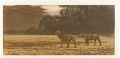 <strong>Yoshida Toshi</strong><br>One Day in East Africa No. 10