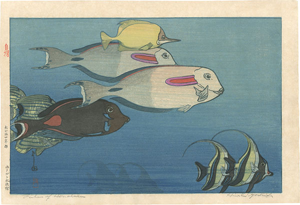 Yoshida Hiroshi “The Honolulu Aquarium”／