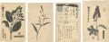 <strong>Fujimori Shizuo</strong><br>Postcards