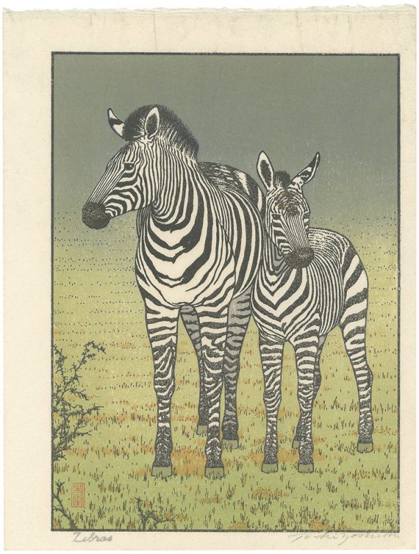 吉田遠志｢Zebras｣／