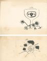 Illustrations for Bungei Asahi