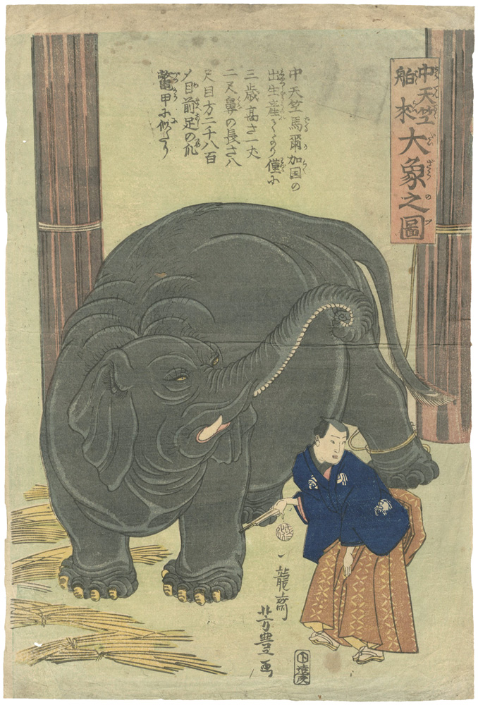 Yoshitoyo “The Great Elephant Imported from Central India”／