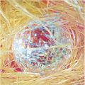<strong>Nakamura Yuki</strong><br>Corresponding light